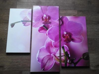 Лот: 9083707. Фото: 1. Модульная картина Орхидеи, ширина... Картины, рисунки
