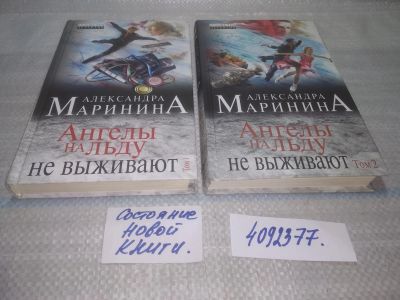Лот: 25703255. Фото: 1. ВбР/озЮ(4092377)Ангелы на льду... Художественная