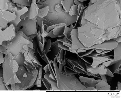 Лот: 16387643. Фото: 1. SEM-image of BiPbSrCaCuO HTSC. Другое (дети растут)