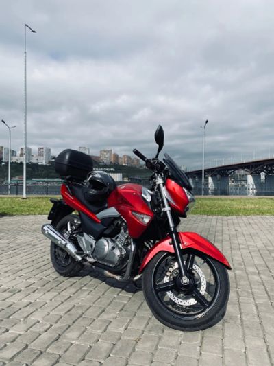 Лот: 24397991. Фото: 1. Suzuki GW250(GSR250,Inazuma). Мотоциклы