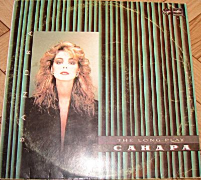 Лот: 4684594. Фото: 1. Vinyl Sandra "The Long Play". Аудиозаписи