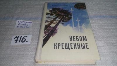 Лот: 11484451. Фото: 1. Небом крещенные, Виктор Трихманенко... Художественная