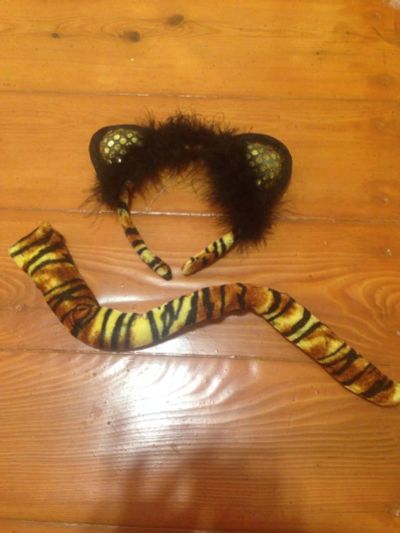 Лот: 6599321. Фото: 1. Новогодний костюм тигрицы. Взрослые карнавальные костюмы