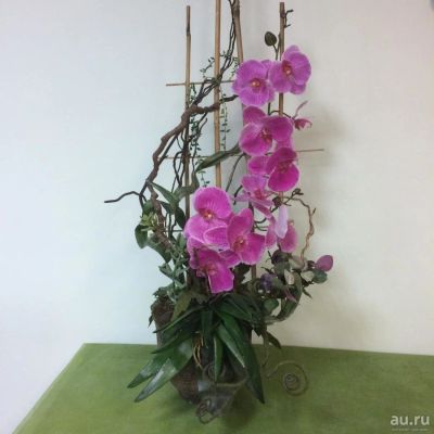 Лот: 9424553. Фото: 1. Композиция "Фуксия". Искусственные и сувенирные цветы