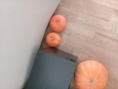Лот: 14732342. Фото: 1. Тыква ( цена за шт) небольшая... Овощи, фрукты, зелень