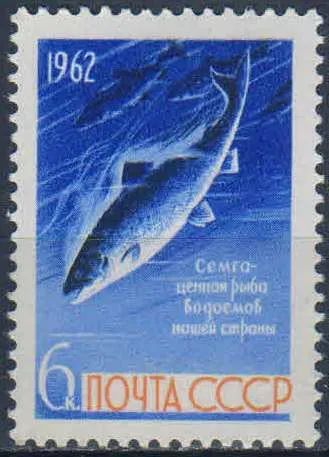 Лот: 25580612. Фото: 1. 1962, 28 августа. Рыбы. н.с... Марки
