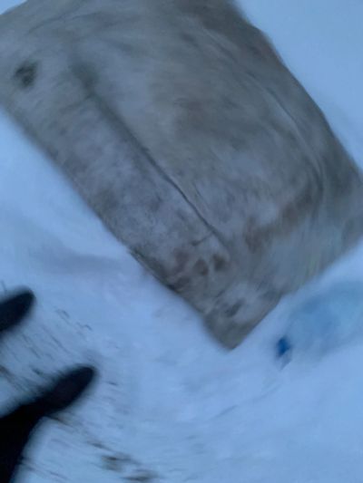 Лот: 24899094. Фото: 1. Автомобильное одеяло. Другое (оснащение, оборудование, аксессуары)