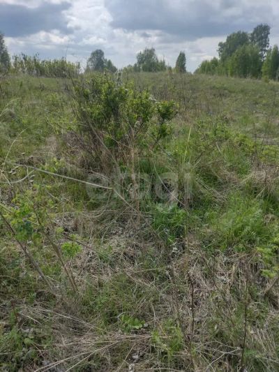 Лот: 25431468. Фото: 1. участок , товарищество собственников... Земельные участки