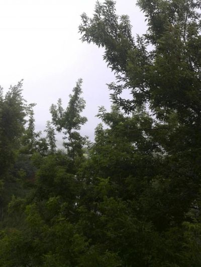Лот: 9413868. Фото: 1. комната в общежитии Ул. Новгородская... Квартиры, студии