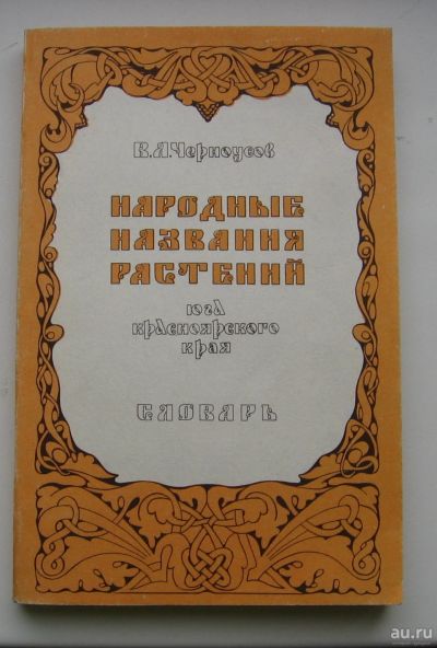 Лот: 16061981. Фото: 1. Черноусов В.А. Словарь народных... Словари