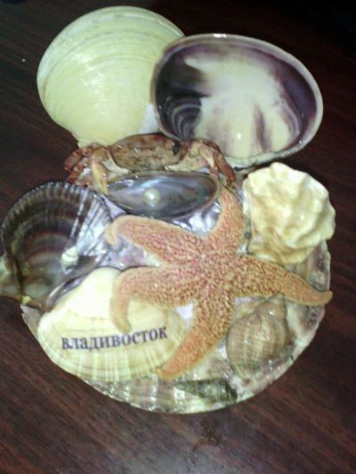 Лот: 8414279. Фото: 1. сувенир, ракушки. Фигурки, статуэтки