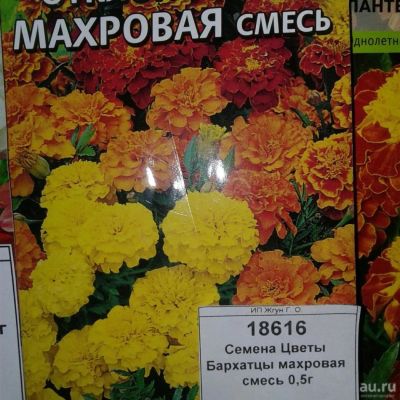 Лот: 9115468. Фото: 1. Семена / Цветы / Бархатцы / махровая... Садовые цветы