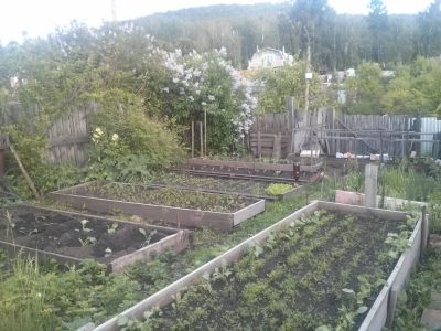 Лот: 5539343. Фото: 1. Дача 6 соток. СНТ Здоровье (ст... Дома