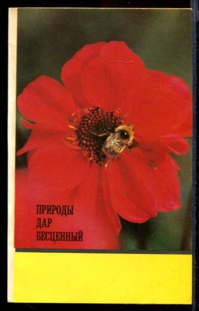 Лот: 23432200. Фото: 1. Природы дар бесценный | Мед и... Популярная и народная медицина