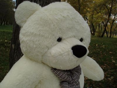 Лот: 3515568. Фото: 1. Огромный плюшевый мишка / медведь... Мягкие