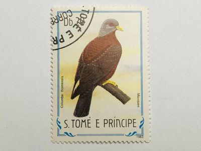 Лот: 23316636. Фото: 1. Птицы. 20 добр. Фауна. Сан-Томе... Марки