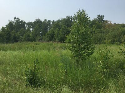 Лот: 25882874. Фото: 1. Срочно ОтличныйЗемельный Участок. Земельные участки