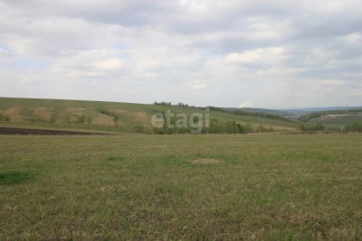 Лот: 25296441. Фото: 1. участок , СНТ Дружба СНТ Дружба... Земельные участки