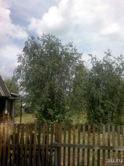 Лот: 14314255. Фото: 1. Дача крючково. Дачи