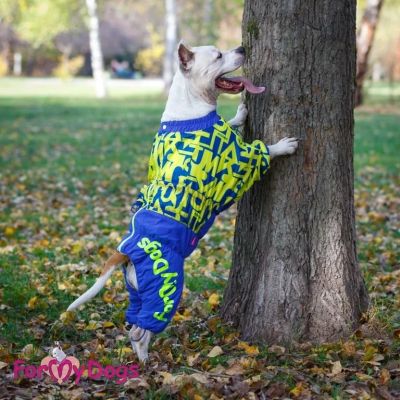 Лот: 9988354. Фото: 1. Комбинезон ForMyDogs для девочки... Ошейники, одежда, конное снаряжение