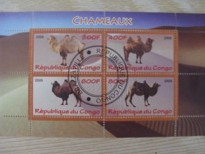 Лот: 16913125. Фото: 1. Марки. Конго. 2009 год. Верблюды... Марки