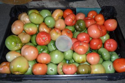 Лот: 10191858. Фото: 1. Помидоры домашние (вкусные). Овощи, фрукты, зелень