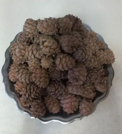 Лот: 24638569. Фото: 1. Шишка кадровая для декора. Праздничный декор