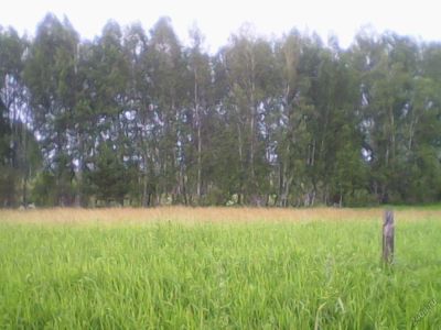 Лот: 5283535. Фото: 1. Земельный участок Емельяновский... Земельные участки