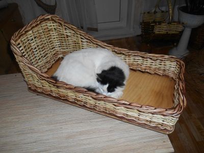 Лот: 4875305. Фото: 1. Лежанка для кошки (собаки). Домики, переноски, клетки, когтеточки