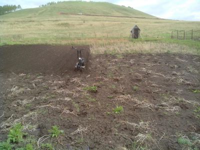 Лот: 11093597. Фото: 1. Участок 10 соток Дрокино.СНТ Палати. Земельные участки