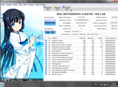 Лот: 10844124. Фото: 1. WD, hdd, внешний жесткий диск... Внешние жесткие диски