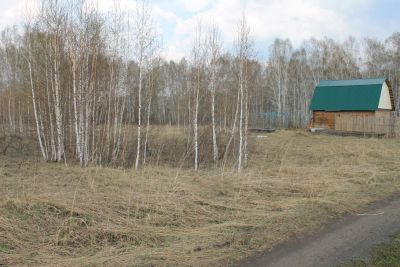 Лот: 2689108. Фото: 1. Участок в Емельяновском районе... Земельные участки