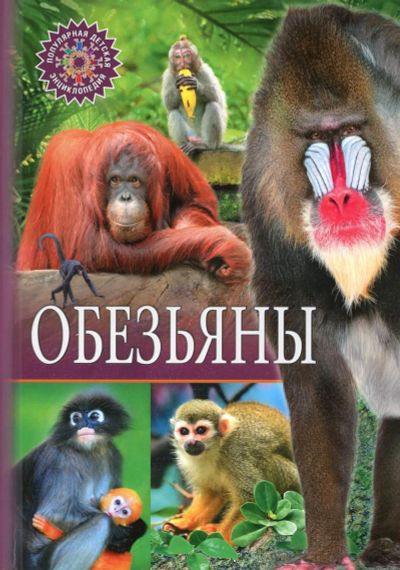 Лот: 22351343. Фото: 1. ПопулярнаяДетскаяЭнциклопедия... Познавательная литература