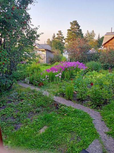 Лот: 20316013. Фото: 1. Дача. Дачи