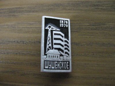 Лот: 19284121. Фото: 1. Значок СССР Шушенское 1870-1970... Юбилейные