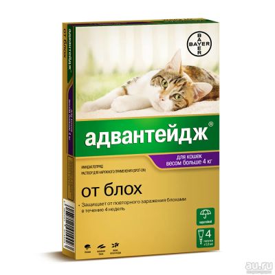 Лот: 12791984. Фото: 1. Адвантейдж (Advantage 80) для... Лекарства для животных, ветеринарные препараты