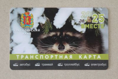 Лот: 25360363. Фото: 1. Транспортная карта. 2025. Красноярский... Билеты, талоны