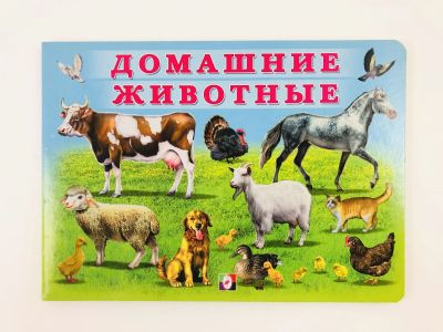 Лот: 23294783. Фото: 1. Домашние животные. 2014 г. Познавательная литература