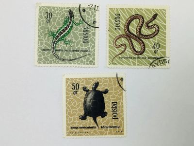 Лот: 23964390. Фото: 1. Охраняемые рептилии и амфибии... Марки
