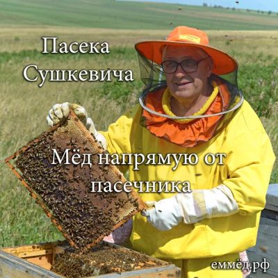 Лот: 10107538. Фото: 1. Божественный гречишный мед 2017. Мёд, продукты пчеловодства