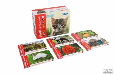 Лот: 9843322. Фото: 1. Мир на ладошке. Умница. Выпуск... Развивающие