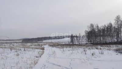 Лот: 19886111. Фото: 1. Продам участок 12 сот. Новосибирское... Земельные участки