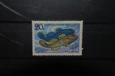 Лот: 4401820. Фото: 1. 1983 Промысловые рыбы. Бычок-кругляк... Марки