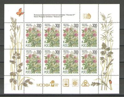 Лот: 15260446. Фото: 1. 1995 год. Малый лист 4х2. Полевые... Марки