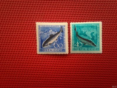 Лот: 13874148. Фото: 1. 1959, 16 июля. Фауна СССР. Рыбы... Марки