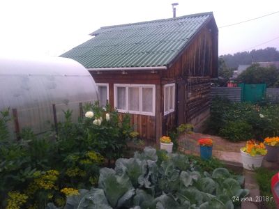 Лот: 11851142. Фото: 1. Ухоженная дача дом 50 кв 6 соток... Дачи