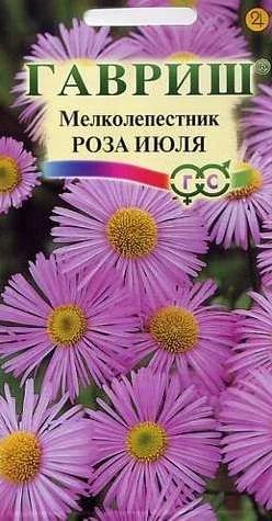 Лот: 11025447. Фото: 1. Мелколепестник Роза июля* 0,05... Садовые цветы