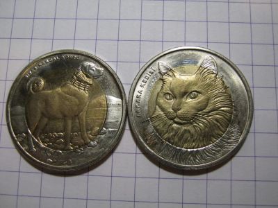 Лот: 4795535. Фото: 1. лиры 2010г. Турция (биметалл). Другое (монеты)