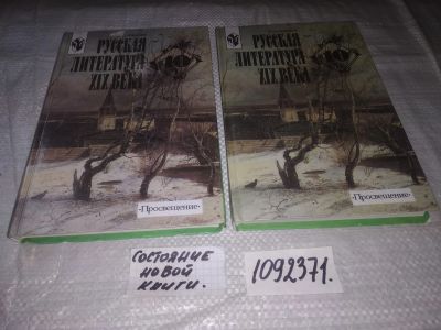 Лот: 21640613. Фото: 1. (1092371)Литература. 10 класс... Для школы