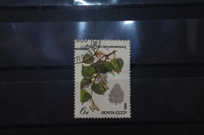 Лот: 3991882. Фото: 1. марки СССР 1 Липа мелколистная... Марки